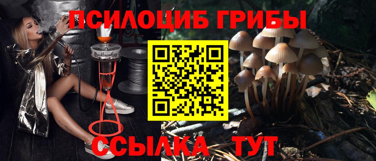 Галлюциногенные грибы мицелий Беслан