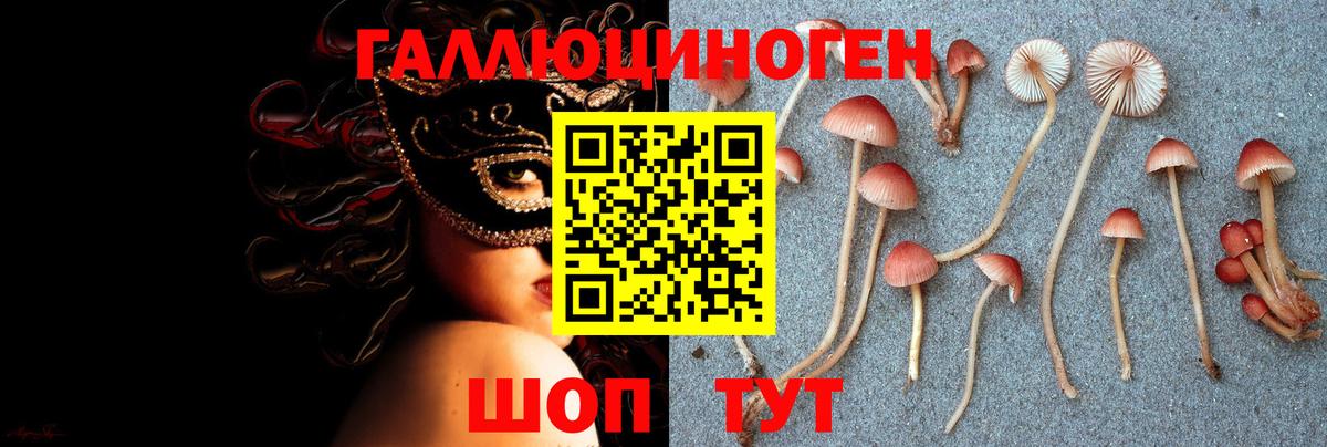 Галлюциногенные грибы мицелий  Галлюциногенные грибы Psilocybe  Беслан  Вход с VPN 